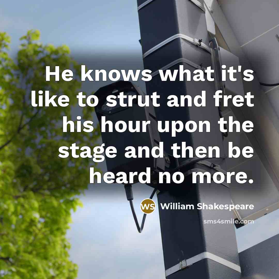 “He knows what it's like to strut and fret his hour upon the stage and then be heard no more.” quote by William Shakespeare