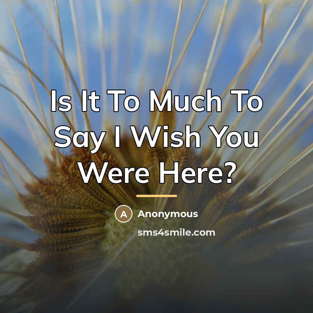 “Is It To Much To Say I Wish You Were…” quote by Anonymous