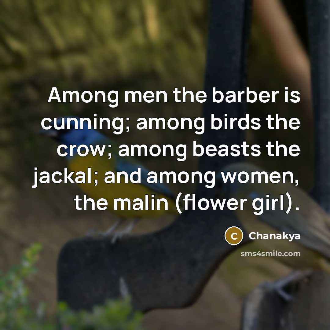 “Among men the barber is cunning; among birds the crow;…” quote by Chanakya