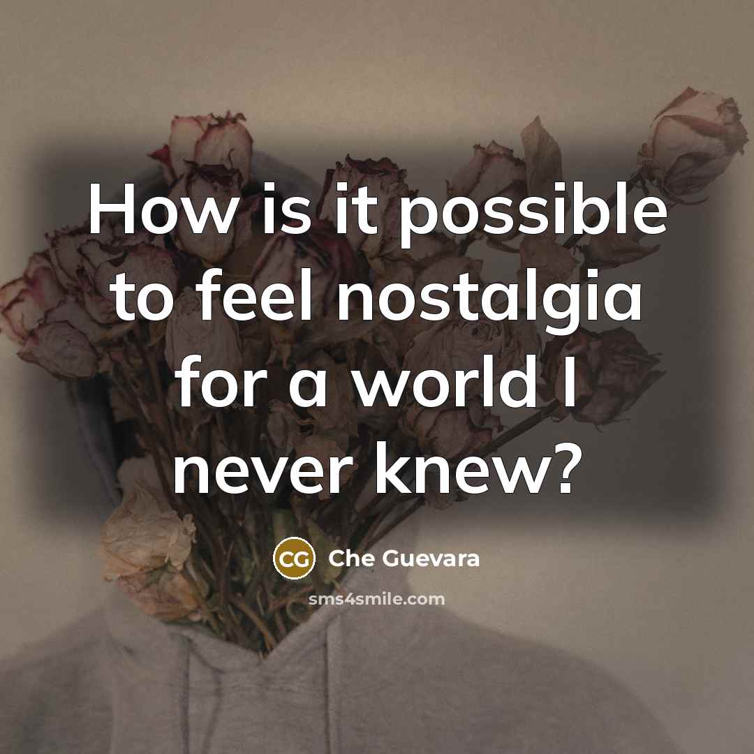 “How is it possible to feel nostalgia for a world I never knew?” quote by Che Guevara