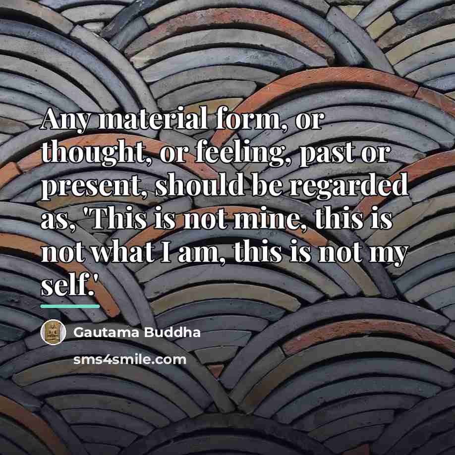 “Any material form, or thought, or feeling, past or present,…” quote by Gautama Buddha
