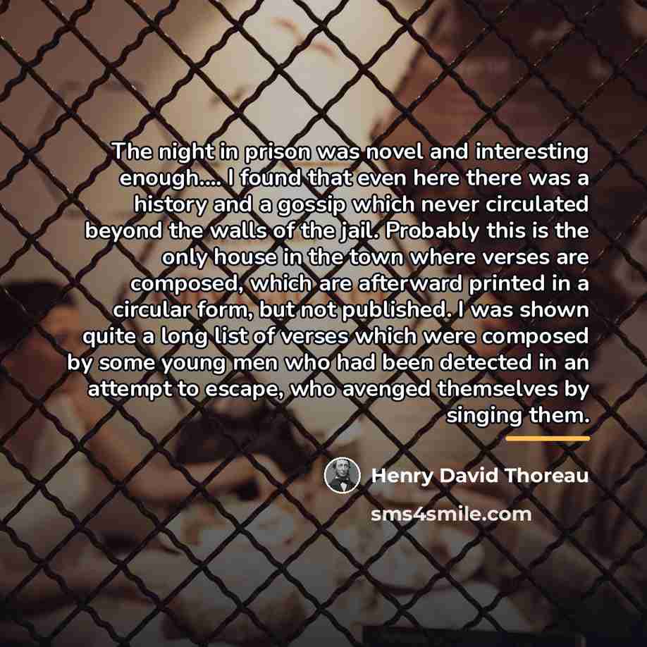 “The night in prison was novel and interesting enough.... I…” quote by Henry David Thoreau
