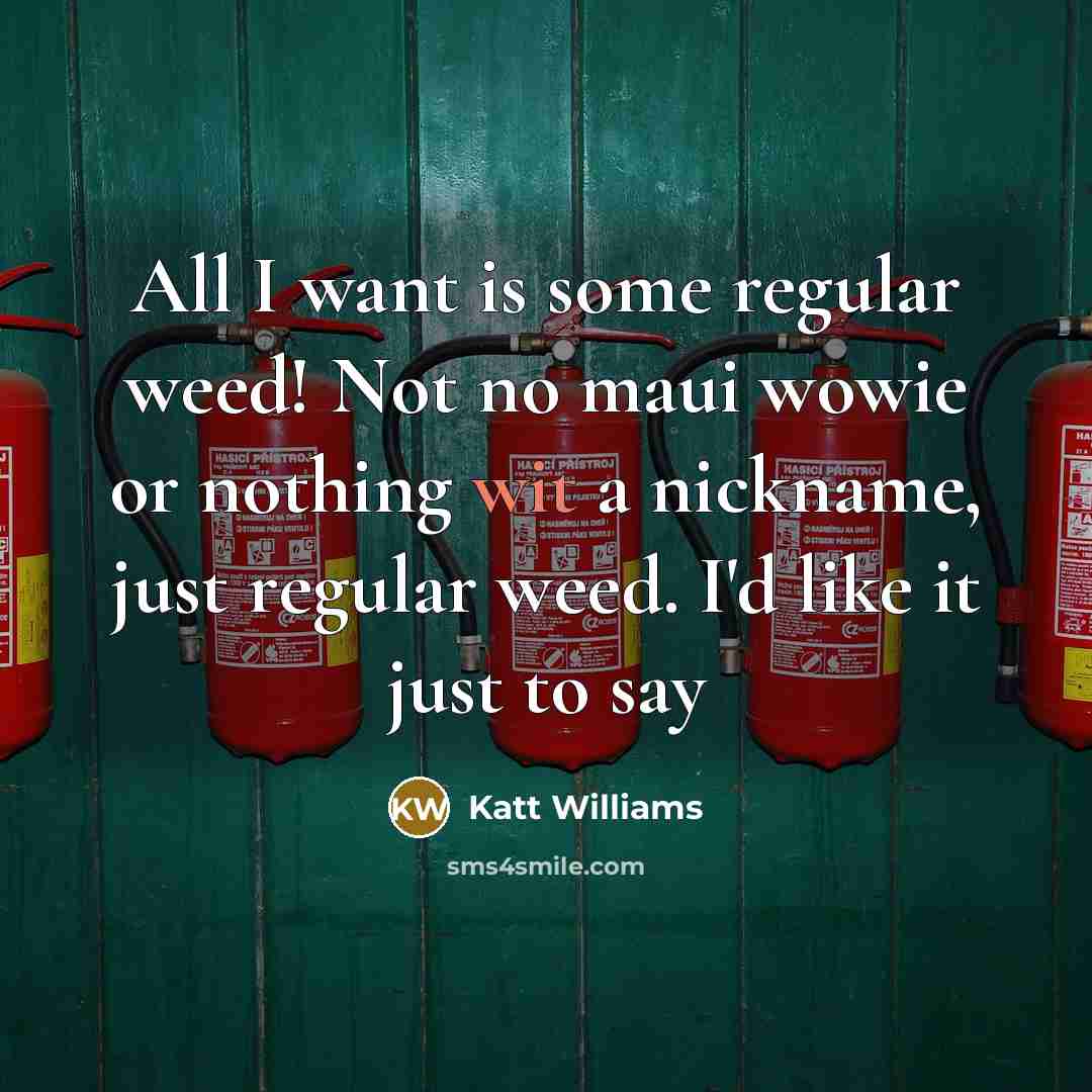 “All I want is some regular weed! Not no maui wowie or nothing wit a nickname, just regular weed. I'd like it just to say” quote by Katt Williams