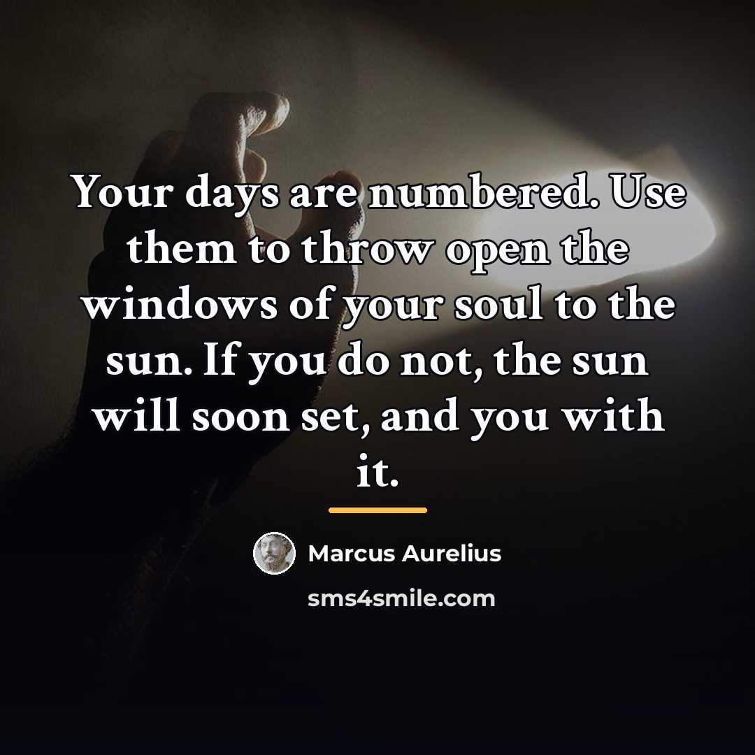 “Your days are numbered. Use them to throw open the…” quote by Marcus Aurelius