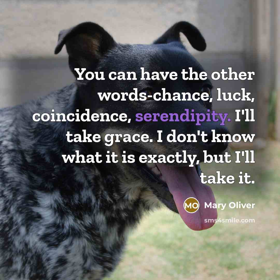 “You can have the other words-chance, luck, coincidence, serendipity. I'll…” quote by Mary Oliver