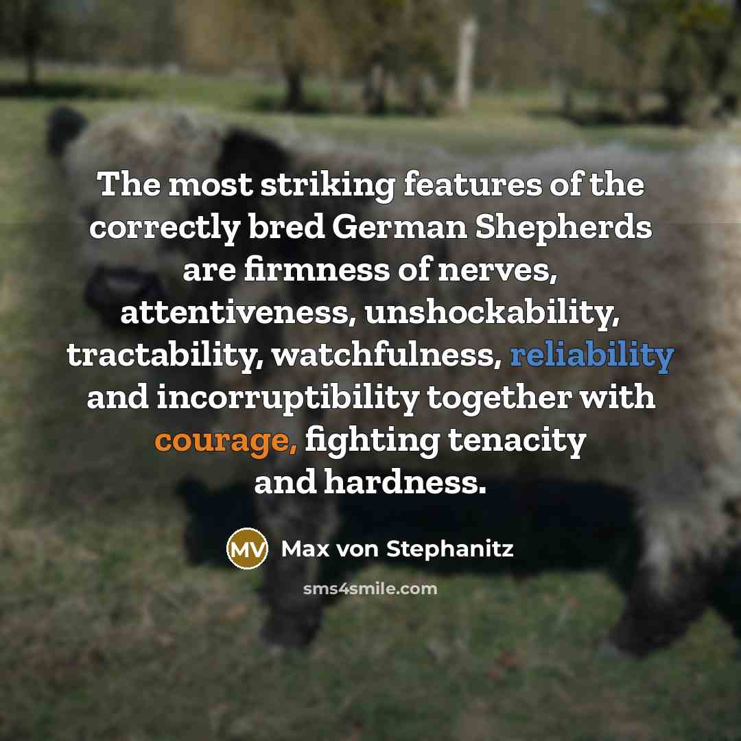 “The most striking features of the correctly bred German Shepherds…” quote by Max von Stephanitz