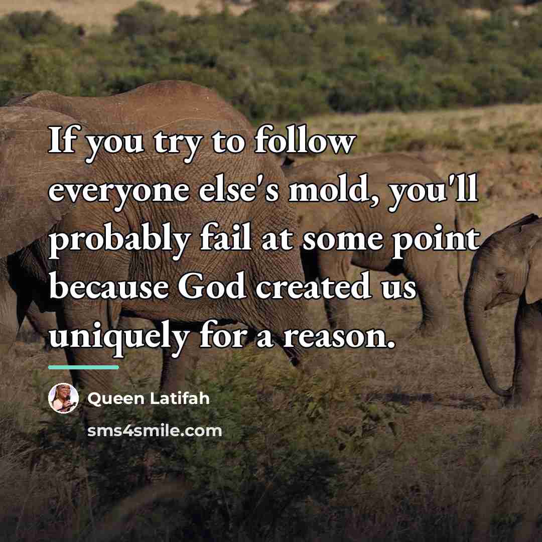 “If you try to follow everyone else's mold, you'll probably…” quote by Queen Latifah