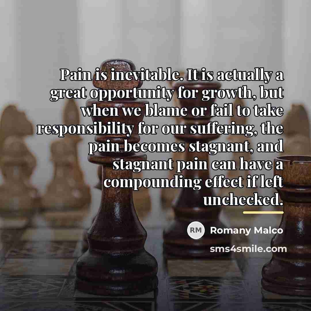 “Pain is inevitable. It is actually a great opportunity for…” quote by Romany Malco