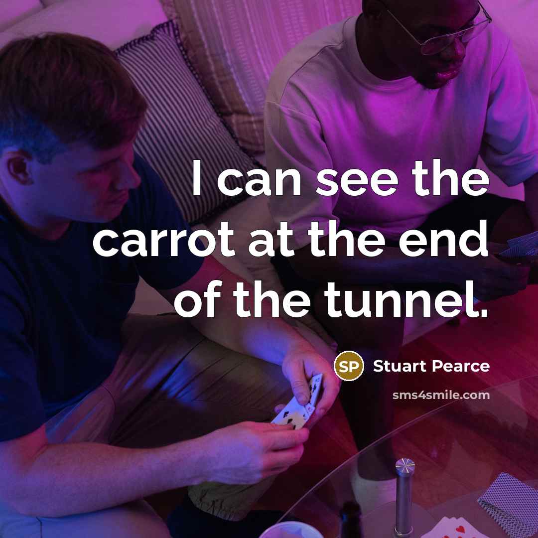 “I can see the carrot at the end of the tunnel.” quote by Stuart Pearce