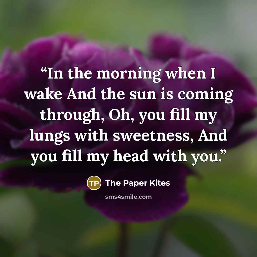 “In the morning when I wake And the sun is coming through, Oh, you fill my lungs with sweetness, And you fill my head with you.” quote by The Paper Kites