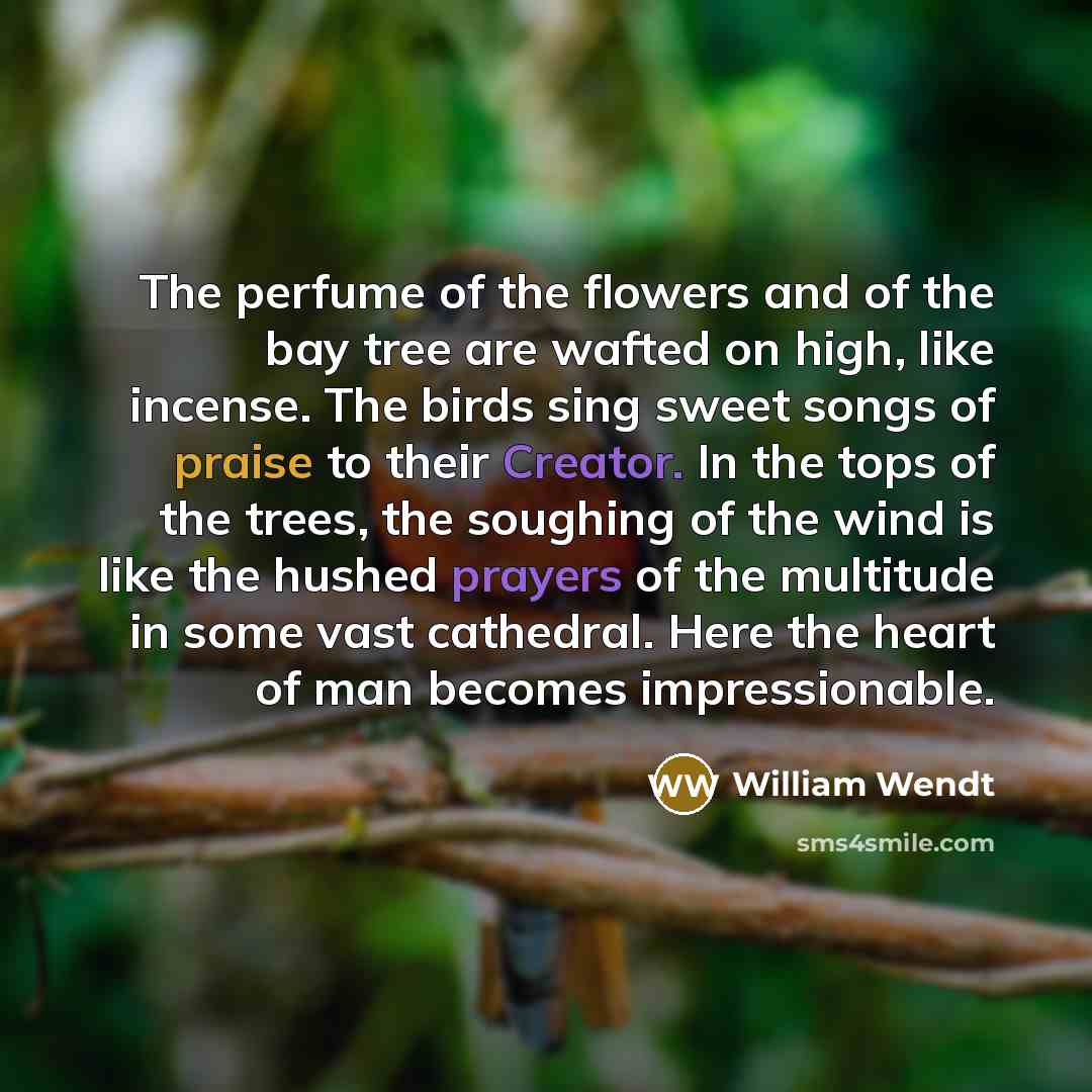 “The perfume of the flowers and of the bay tree…” quote by William Wendt
