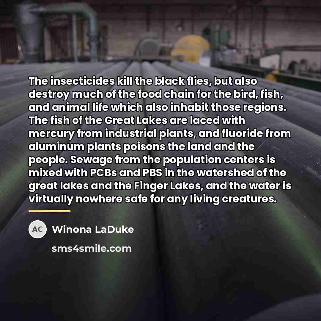 “The insecticides kill the black flies, but also destroy much…” quote by Winona LaDuke