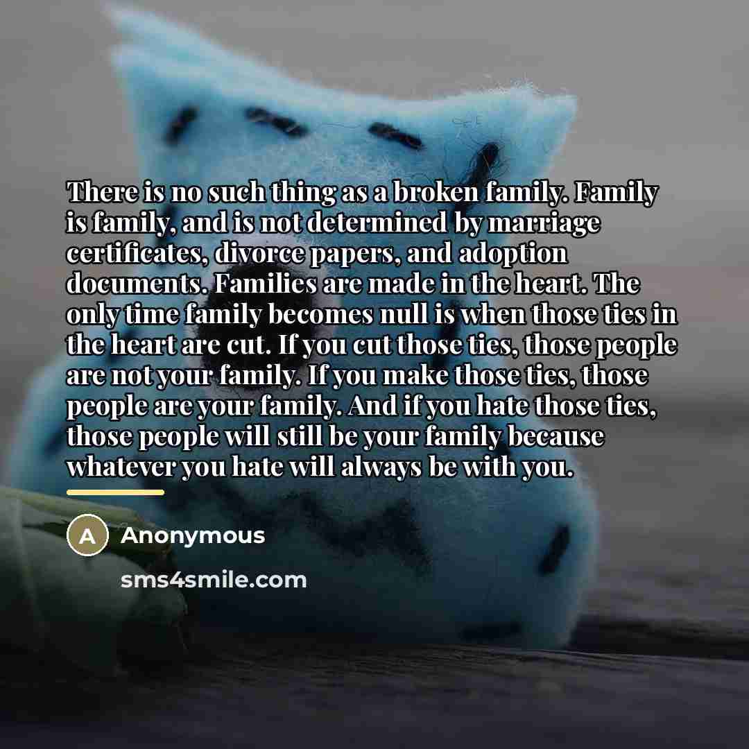 “There is no such thing as a broken family. Family…” quote by Anonymous