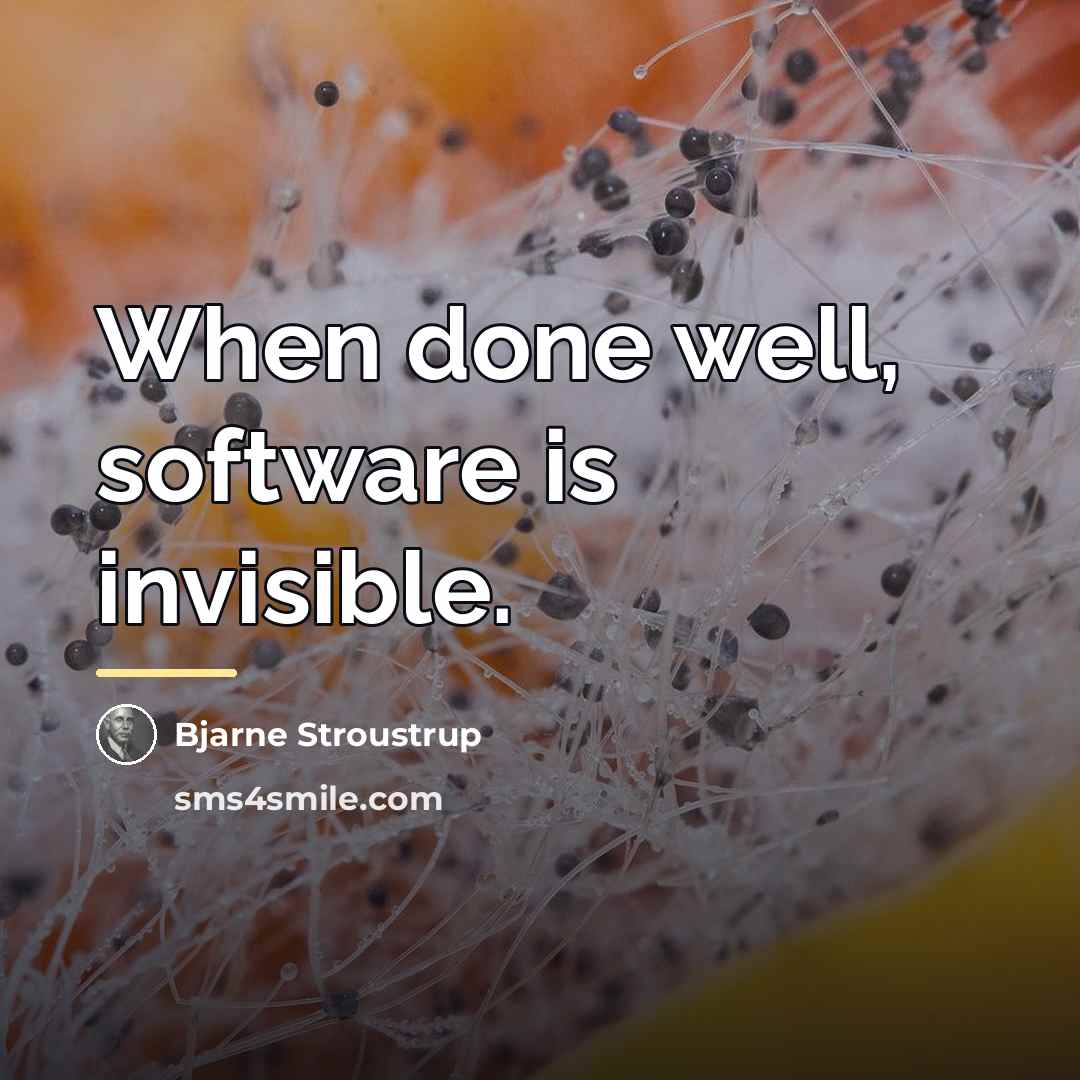 “When done well, software is invisible.…” quote by Bjarne Stroustrup