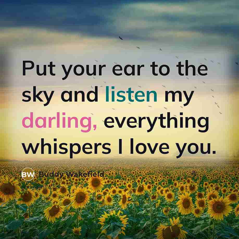 “Put your ear to the sky and listen my darling,…” quote by Buddy Wakefield