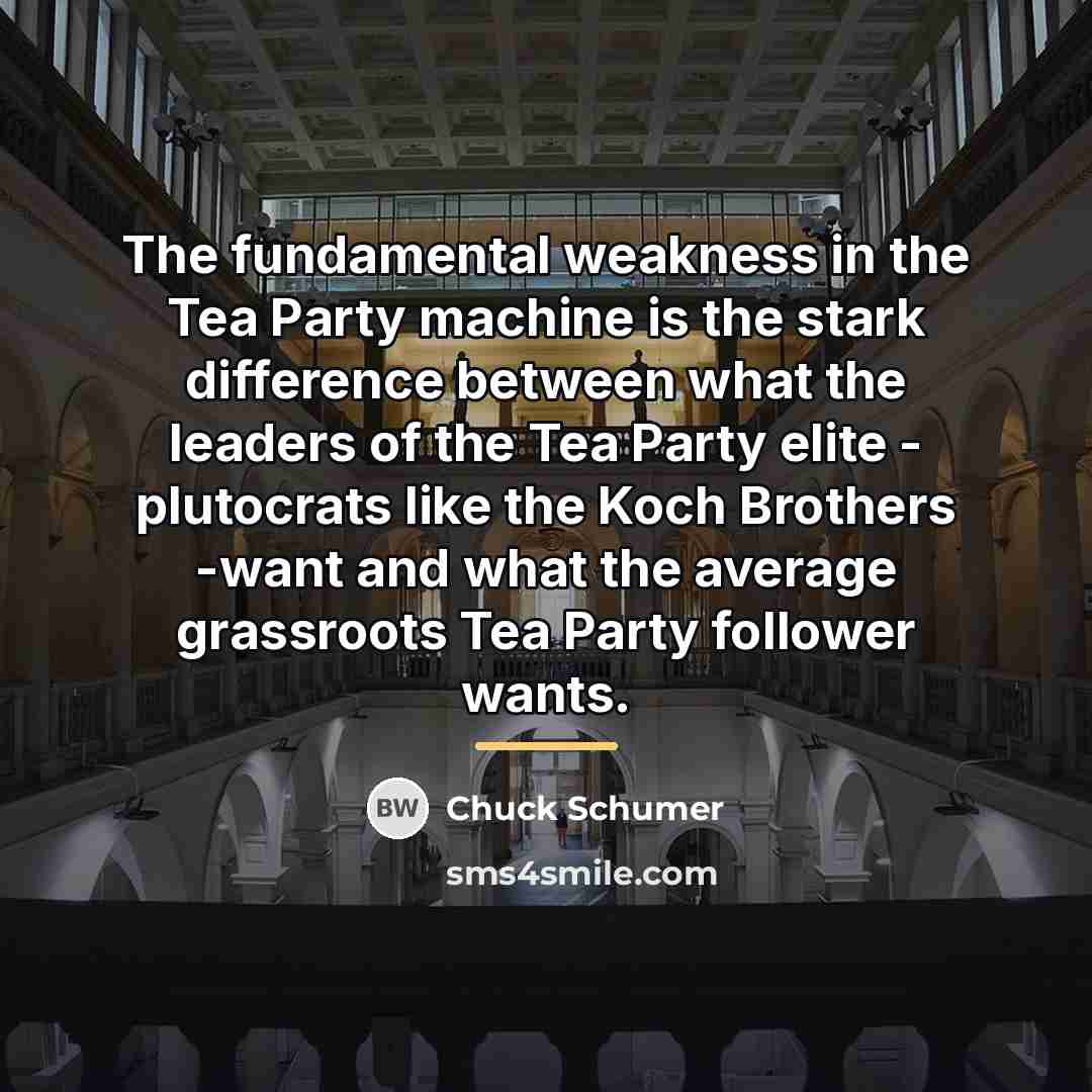 “The fundamental weakness in the Tea Party machine is the…” quote by Chuck Schumer