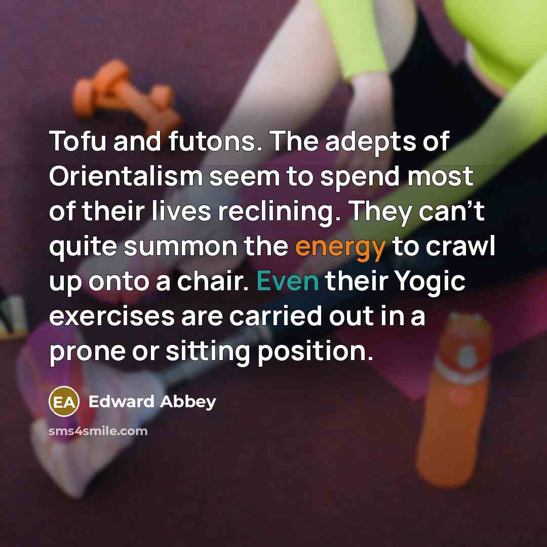 “Tofu and futons. The adepts of Orientalism seem to spend…” quote by Edward Abbey