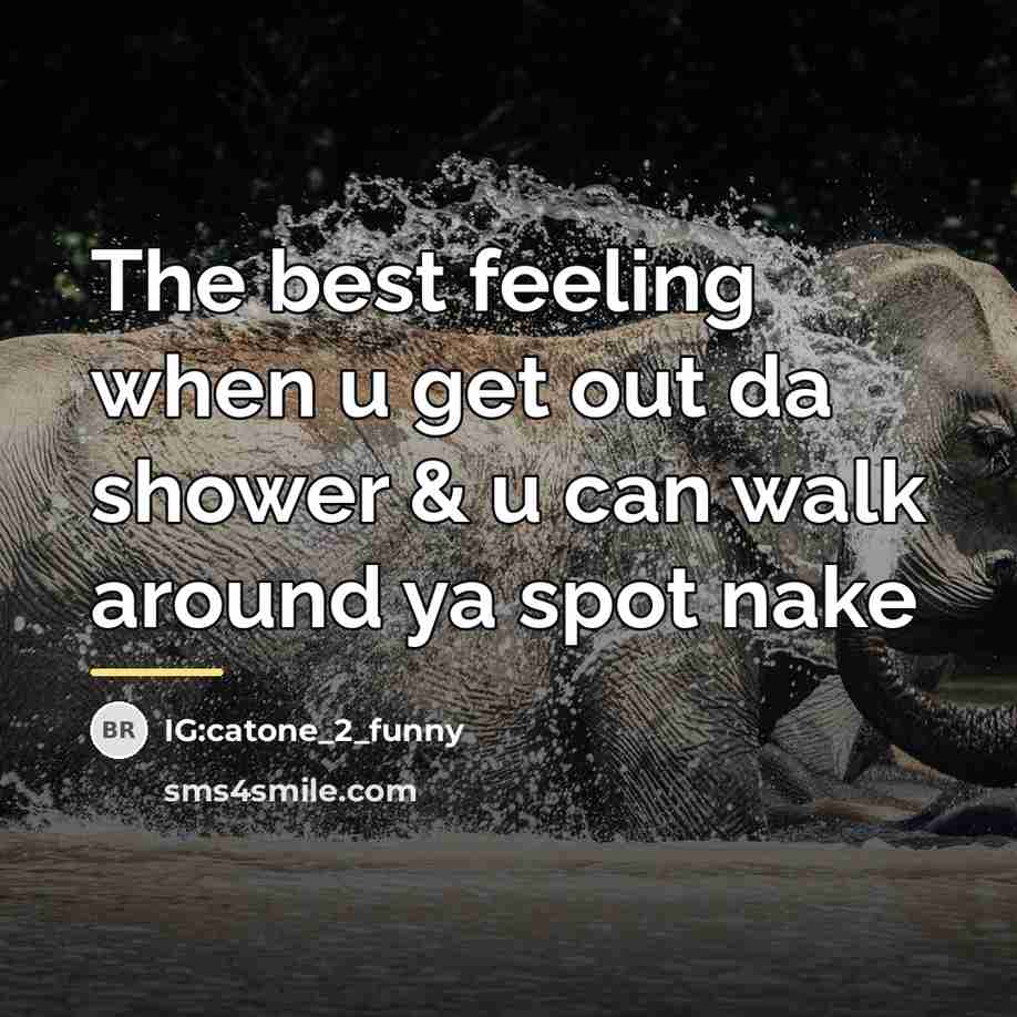 “The best feeling when u get out da shower &…” quote by IG:catone_2_funny