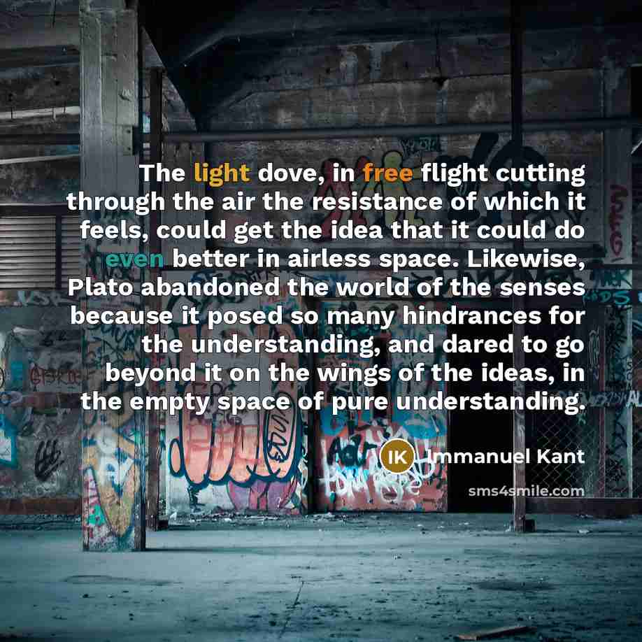 “The light dove, in free flight cutting through the air…” quote by Immanuel Kant