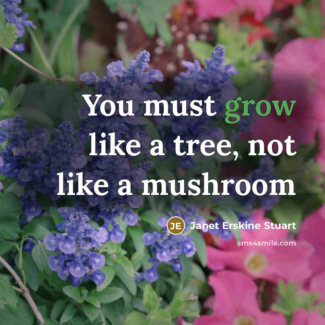 “You must grow like a tree, not like a mushroom…” quote by Janet Erskine Stuart