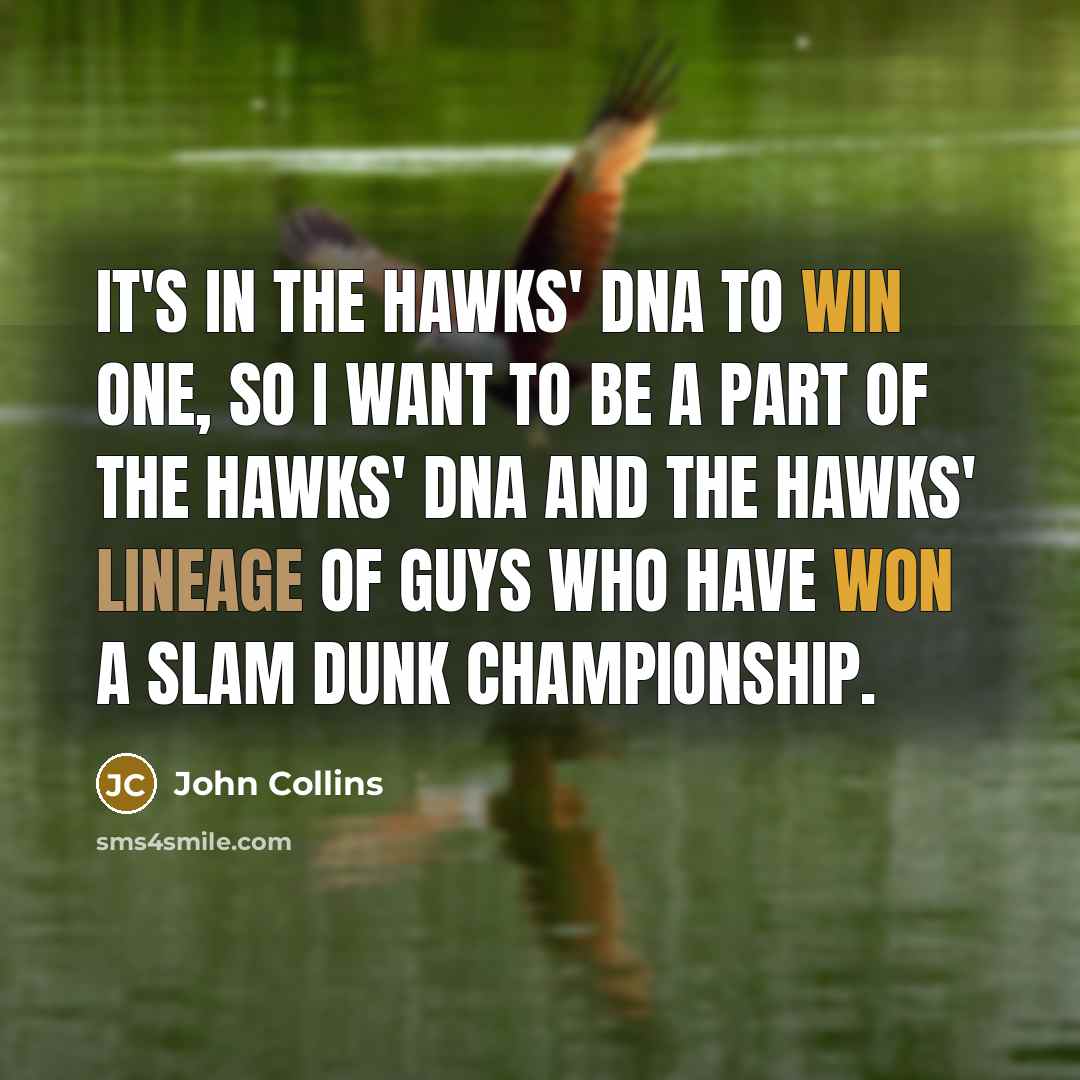 “It's in the Hawks' DNA to win one, so I…” quote by John Collins