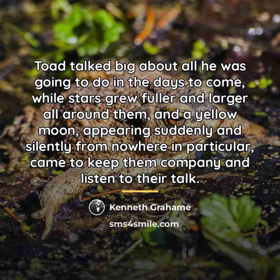 “Toad talked big about all he was going to do…” quote by Kenneth Grahame