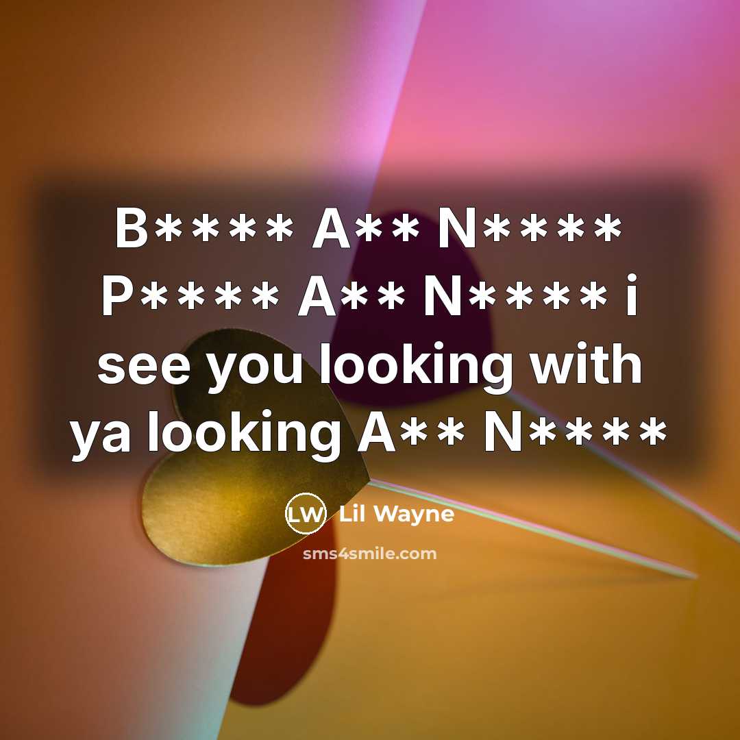 “B**** A** N**** P**** A** N**** i see you looking…” quote by Lil Wayne