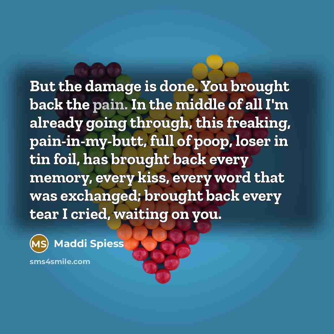 “But the damage is done. You brought back the pain.…” quote by Maddi Spiess