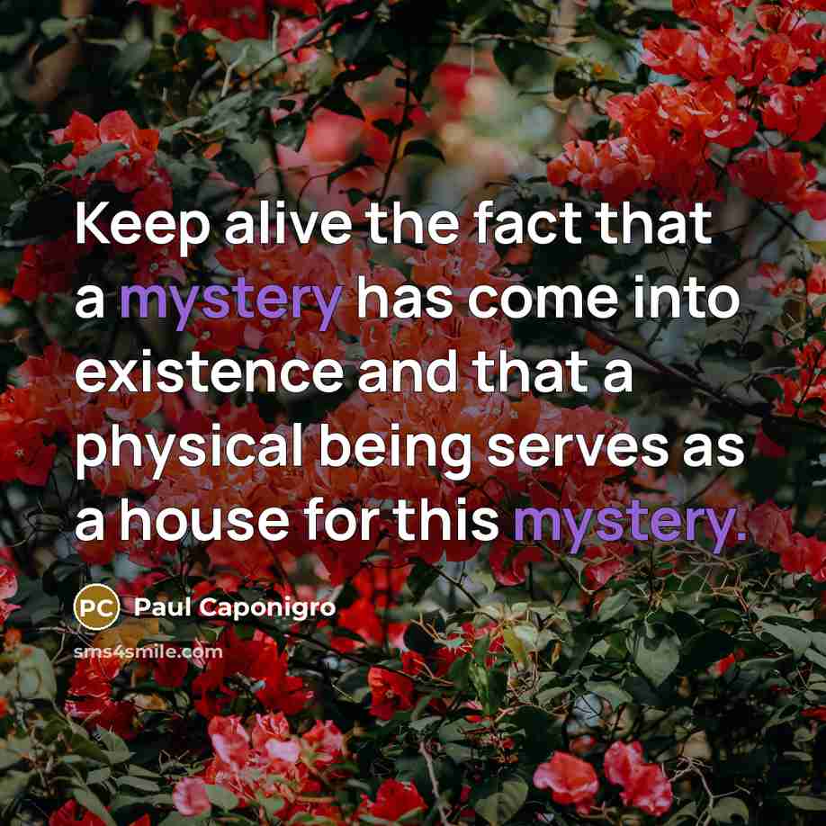 “Keep alive the fact that a mystery has come into…” quote by Paul Caponigro