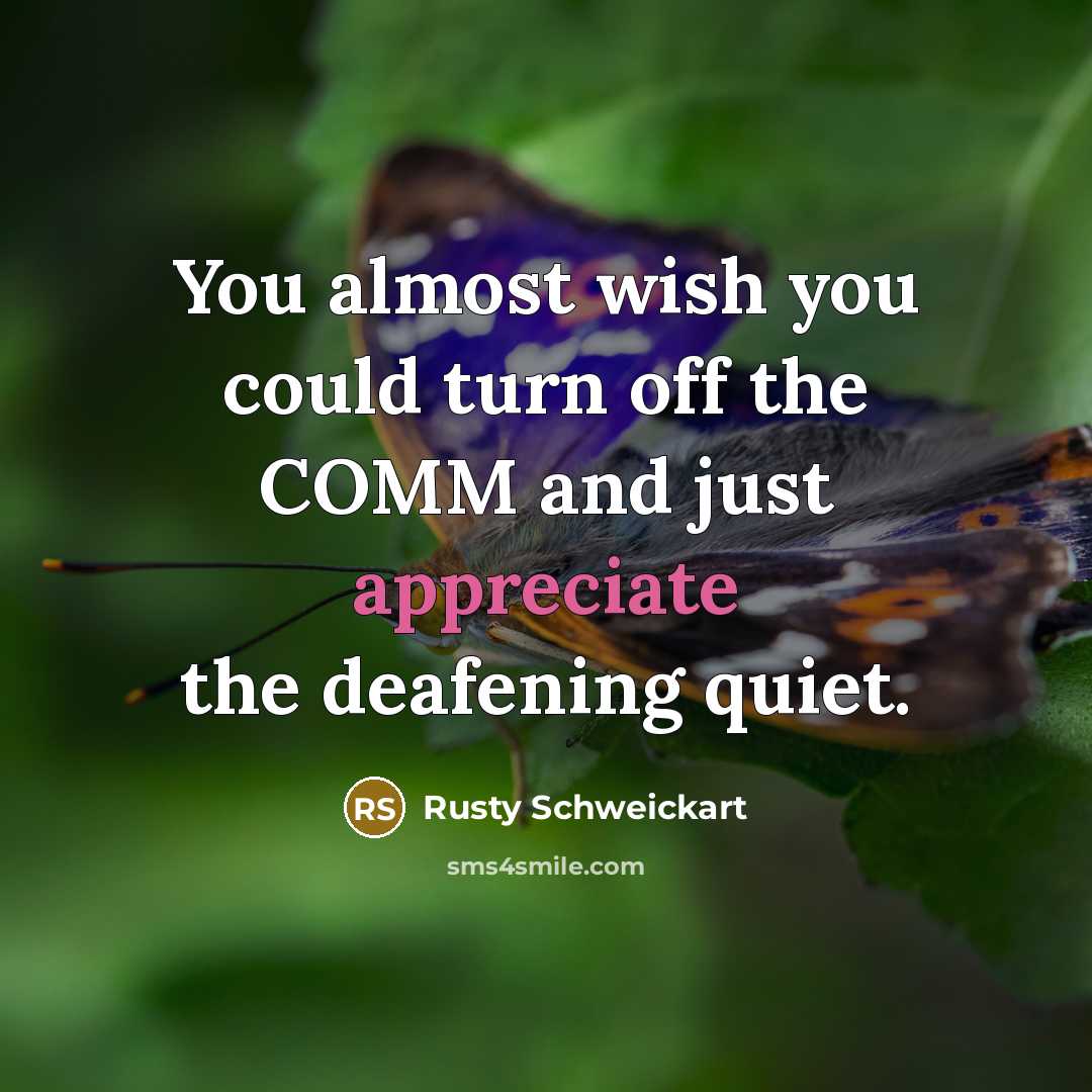 “You almost wish you could turn off the COMM and…” quote by Rusty Schweickart