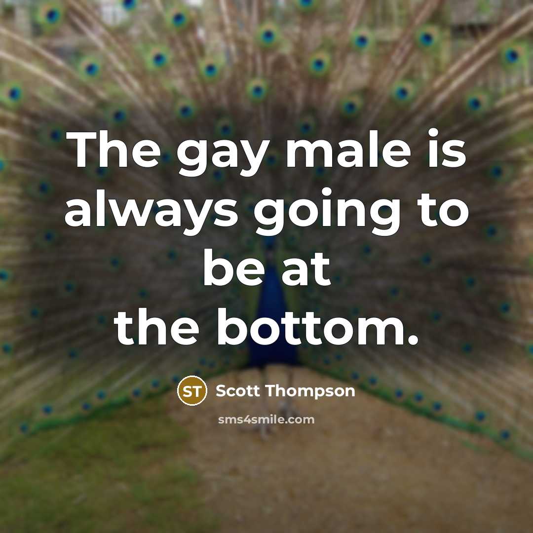 “The gay male is always going to be at the…” quote by Scott Thompson