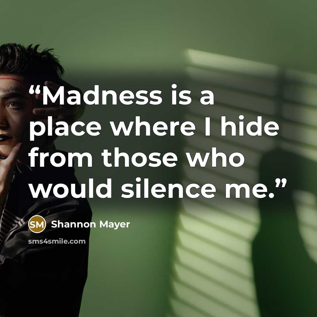“Madness is a place where I hide from those who would silence me.” quote by Shannon Mayer