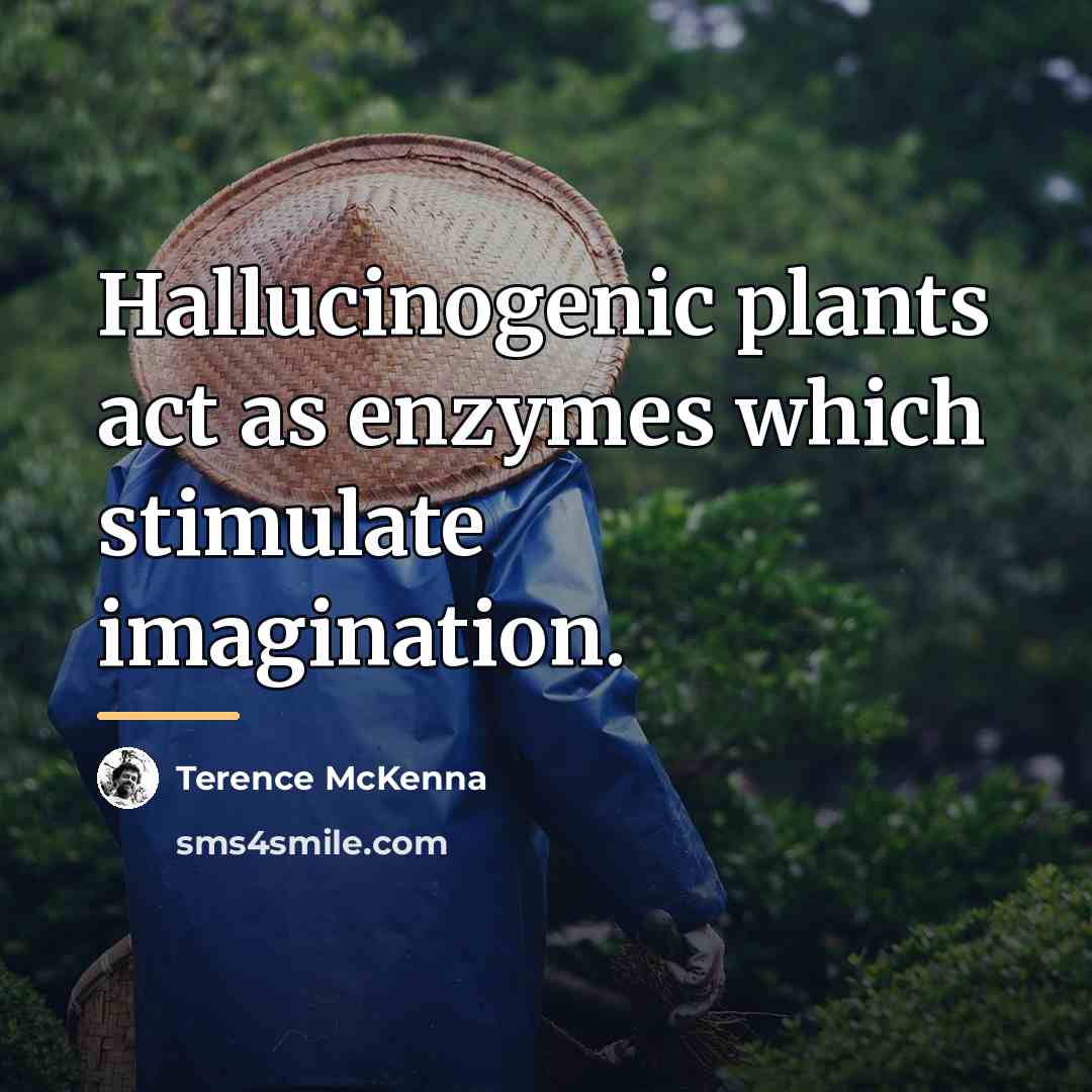 “Hallucinogenic plants act as enzymes which stimulate imagination.…” quote by Terence McKenna