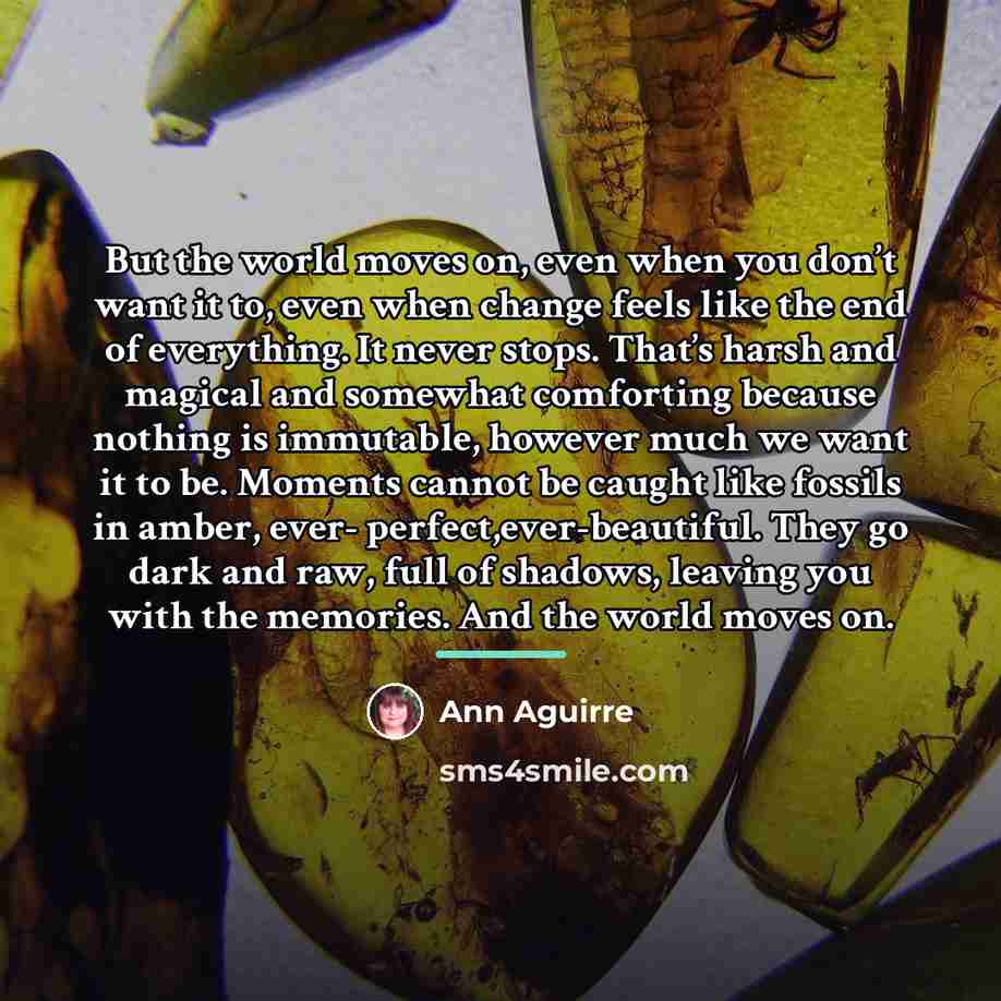 “But the world moves on, even when you don’t want…” quote by Ann Aguirre