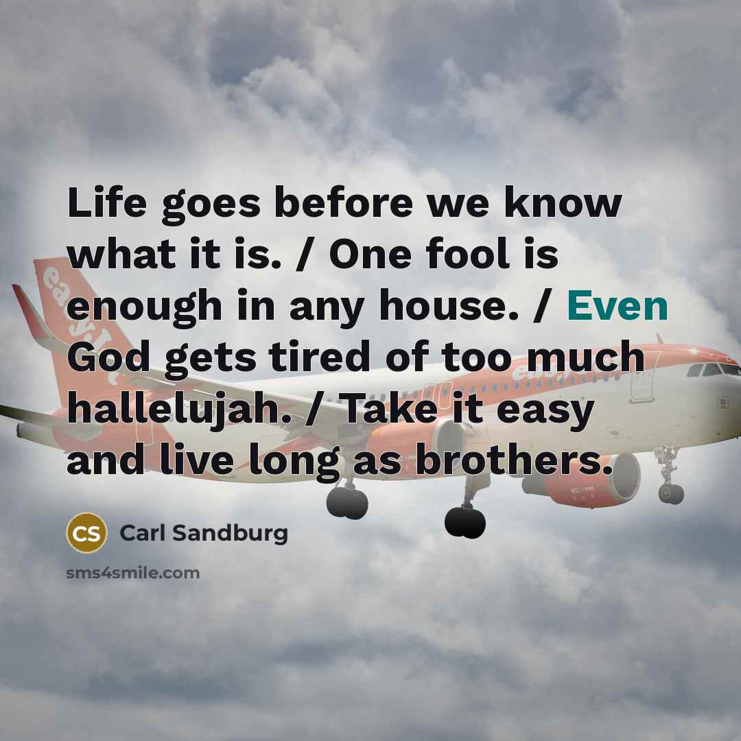 “Life goes before we know what it is. / One…” quote by Carl Sandburg