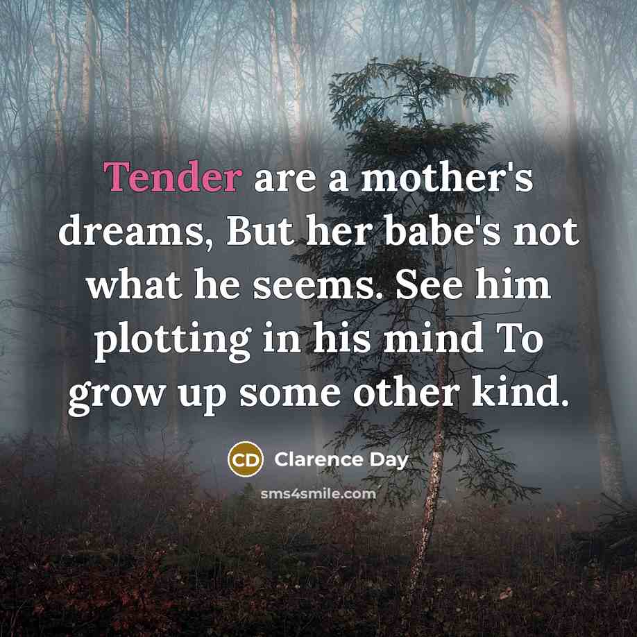 “Tender are a mother's dreams, But her babe's not what…” quote by Clarence Day