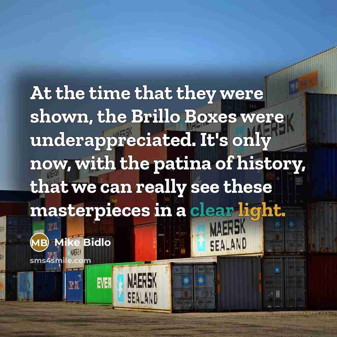 “At the time that they were shown, the Brillo Boxes…” quote by Mike Bidlo