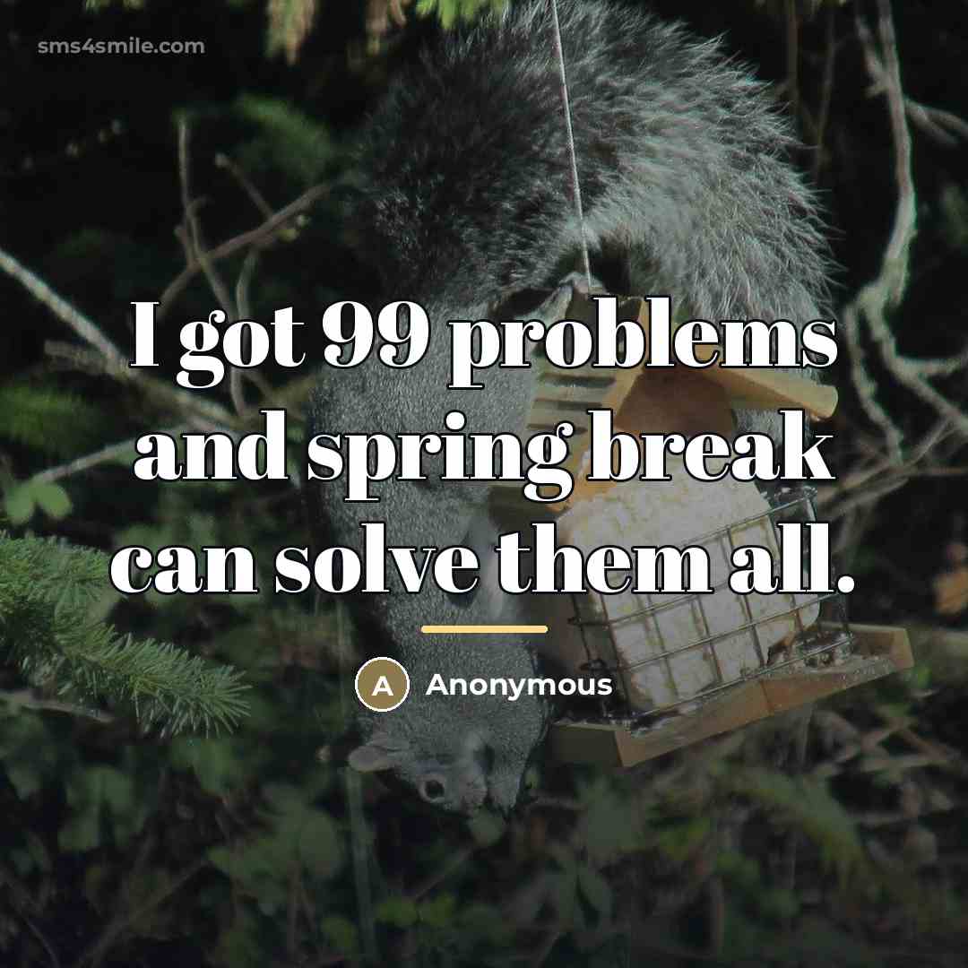 “I got 99 problems and spring break can solve them…” quote by Anonymous