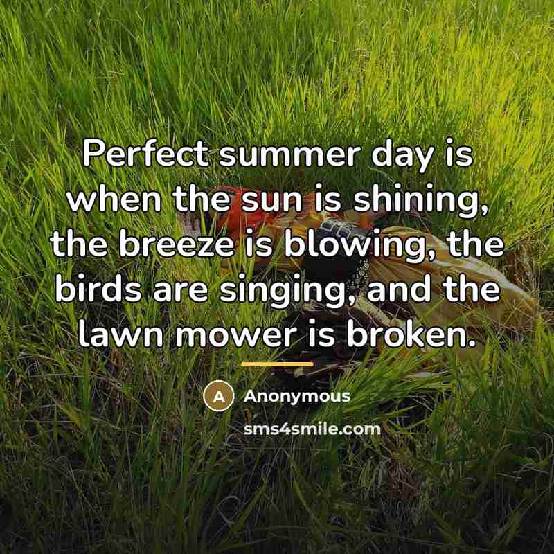 “Perfect summer day is when the sun is shining, the…” quote by James Dent