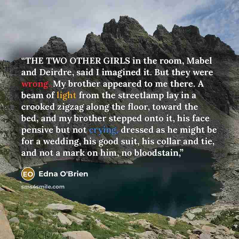 “THE TWO OTHER GIRLS in the room, Mabel and Deirdre, said I imagined it. But they were wrong. My brother appeared to me there. A beam of light from the streetlamp lay in a crooked zigzag along the floor, toward the bed, and my brother stepped onto it, his face pensive but not crying, dressed as he…” quote by Edna O'Brien