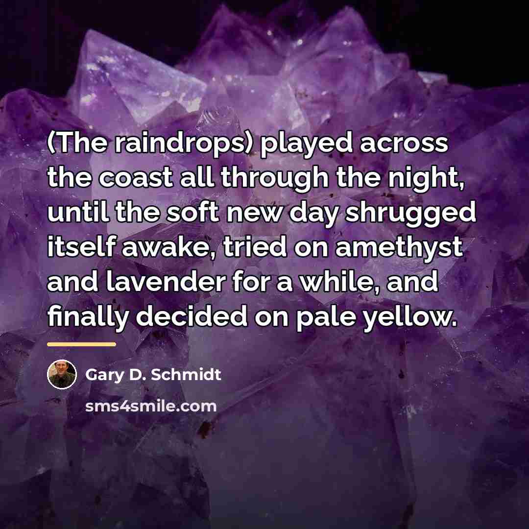 “(The raindrops) played across the coast all through the night,…” quote by Gary D. Schmidt