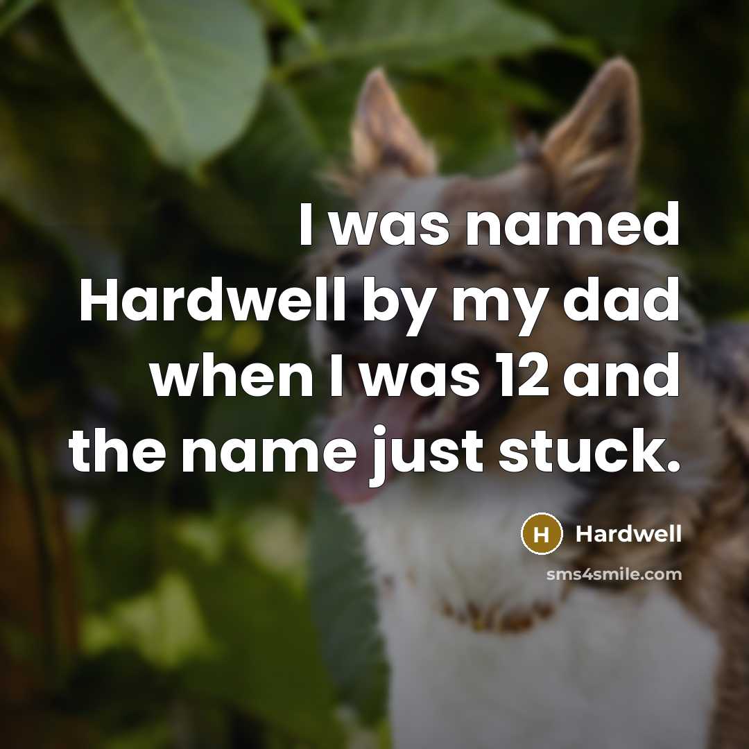 “I was named Hardwell by my dad when I was…” quote by Hardwell