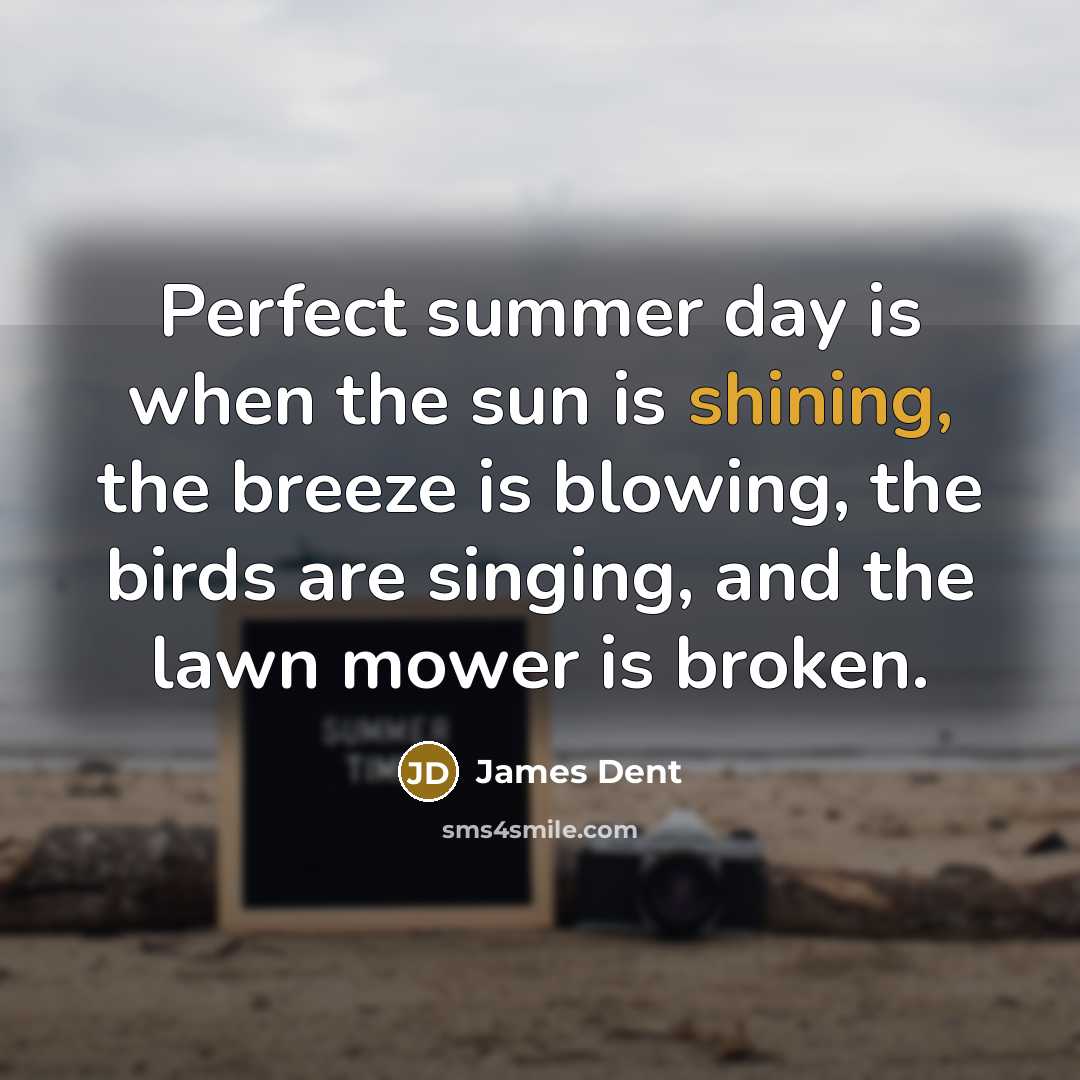 “Perfect summer day is when the sun is shining, the breeze is blowing, the birds are singing, and the lawn mower is broken.” quote by James Dent