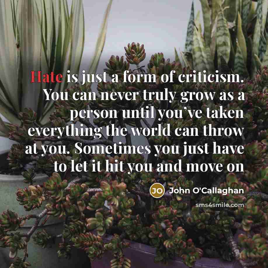 “Hate is just a form of criticism. You can never…” quote by John O'Callaghan