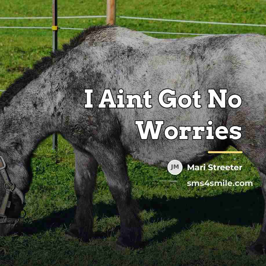 “I Aint Got No Worries…” quote by Mari Streeter
