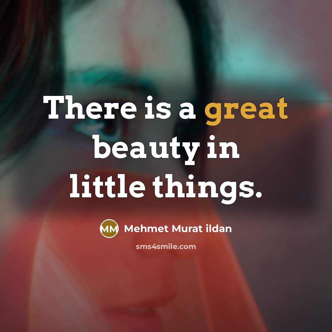 “There is a great beauty in little things.…” quote by Mehmet Murat Ildan