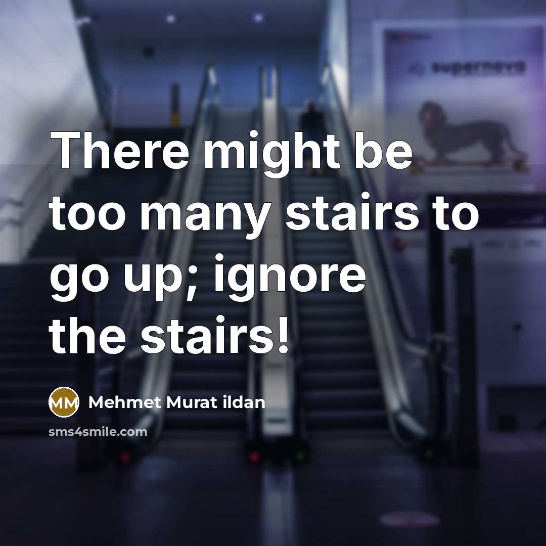 “There might be too many stairs to go up; ignore the stairs!” quote by Mehmet Murat Ildan