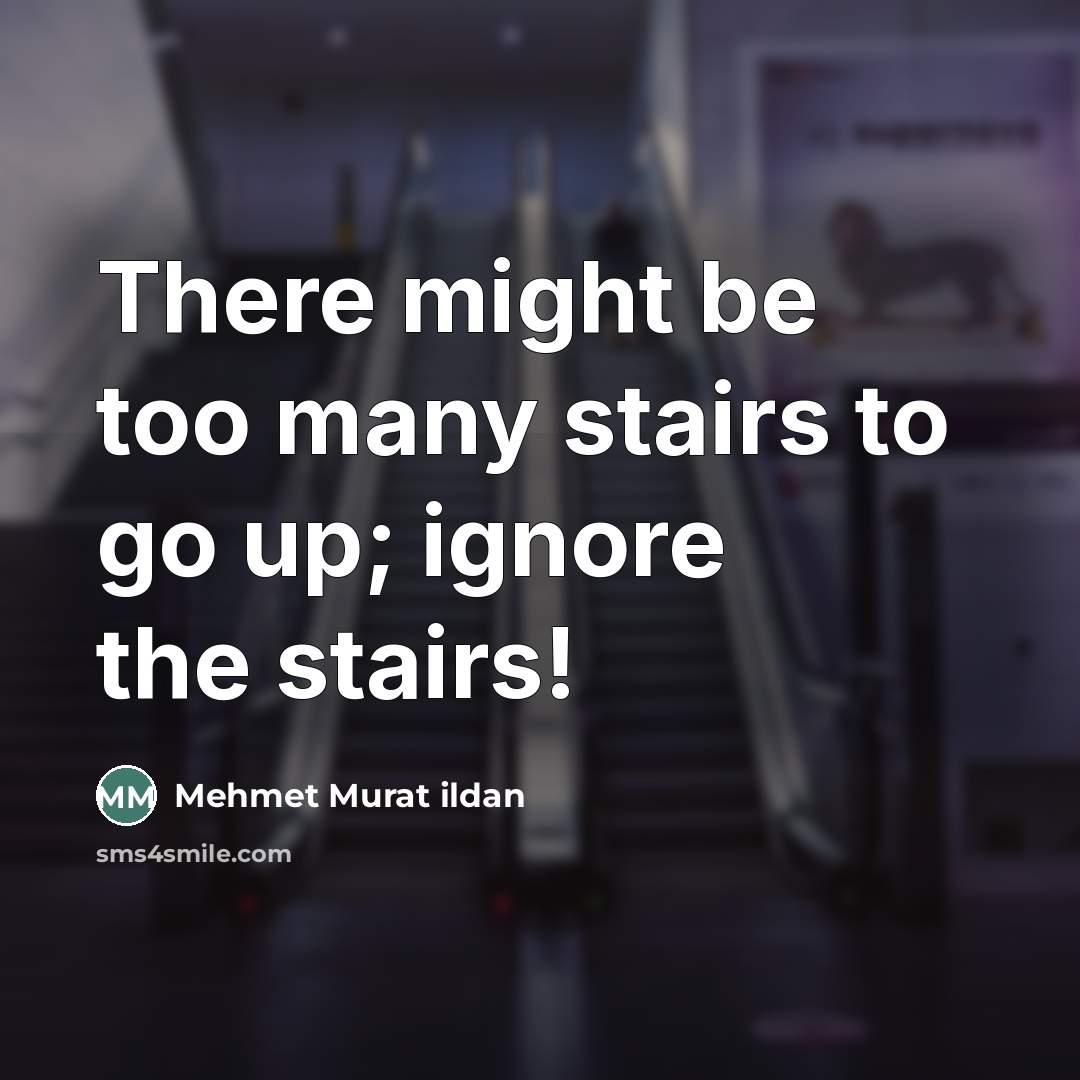 “There might be too many stairs to go up; ignore…” quote by Mehmet Murat Ildan