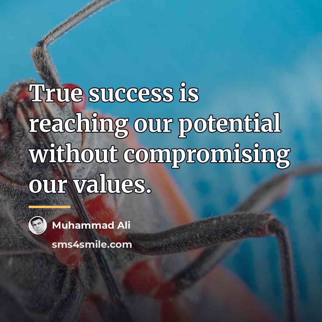 “True success is reaching our potential without compromising our values.…” quote by Muhammad Ali