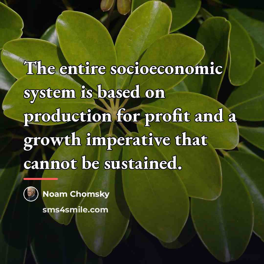 “The entire socioeconomic system is based on production for profit…” quote by Noam Chomsky